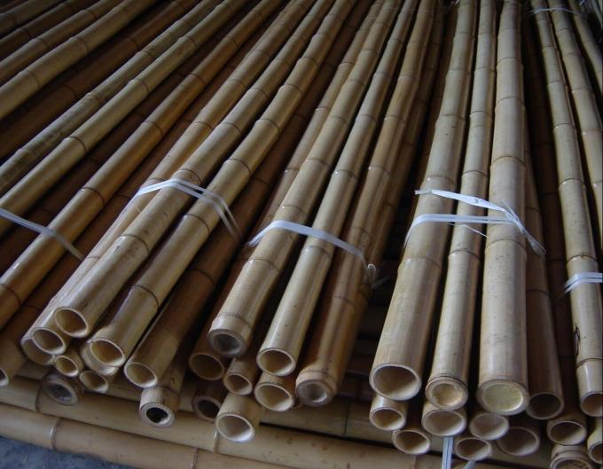 도매 가격 천연 모스 플랜트 폴 모스 스틱 등산 플랜트 모스 폴 지원 3