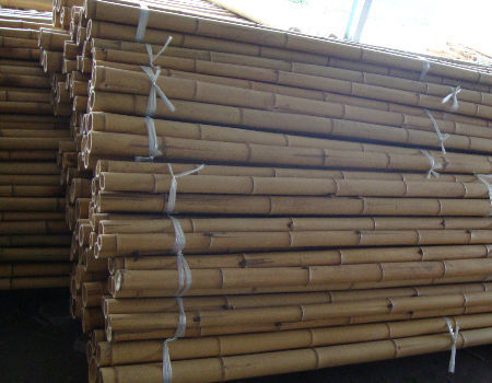 도매 가격 천연 모스 플랜트 폴 모스 스틱 등산 플랜트 모스 폴 지원 2