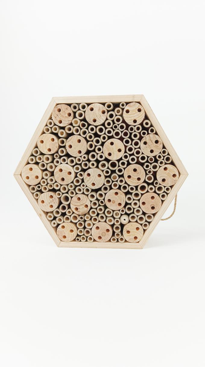 나무 곤충 벌집 상자 매달린 곤충 서식지 꿀벌 나비 나비 유리한 4