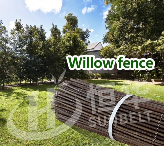 완벽한 배경과 개인 정보 보호 해결책 을 위한 자연적 인 윌로브 가지 0