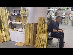 칸톤 박람회 전시장을 방문하셨나요?