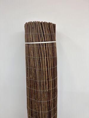 시시대적 인 매력은 평온 한 오아시스로의 저렴한 관문을 울타리