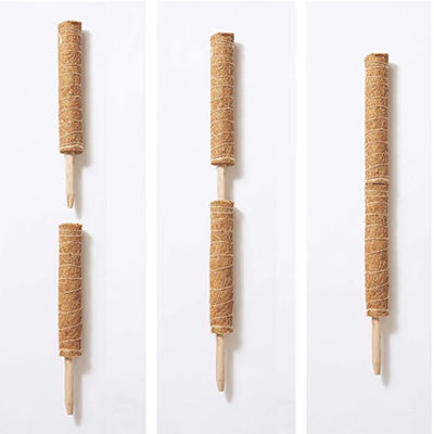 산악 식물용 모스 스톨 30cm 40cm 60cm 90cm 자연 코코넛 코코아 토템 지원 스틸