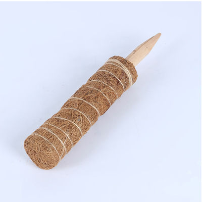 산악 식물용 모스 스톨 30cm 40cm 60cm 90cm 자연 코코넛 코코아 토템 지원 스틸