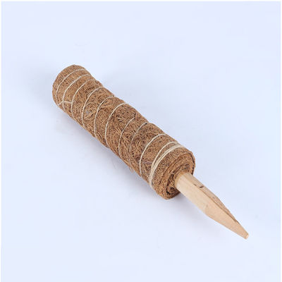 산악 식물용 모스 스톨 30cm 40cm 60cm 90cm 자연 코코넛 코코아 토템 지원 스틸