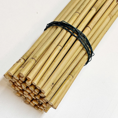 식물 성장 지원용 톤킨 Bambu Cane Custom Size Bamboo Stick