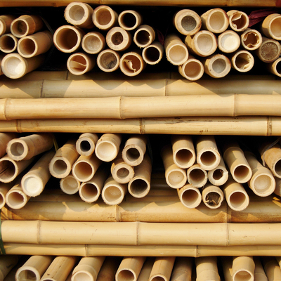 식물 성장 지원용 톤킨 Bambu Cane Custom Size Bamboo Stick