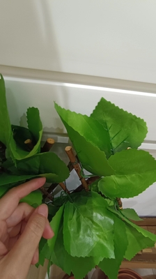 장식적 플라스틱 녹색 식물 매트 패널 인조잎은 야외인 것 얻기 위해 상대와 경쟁합니다
