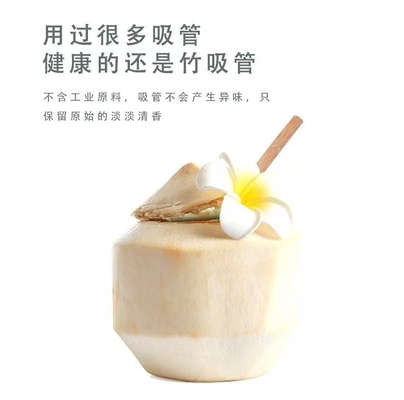 솔로 밀짚을 마시는 재사용할 수 있는 Eco 우호적 20x0.8cm 재사용할 수 있는 대나무