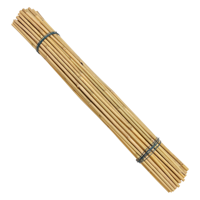 식물 성장 지원용 톤킨 Bambu Cane Custom Size Bamboo Stick