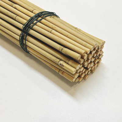 식물 성장 지원용 톤킨 Bambu Cane Custom Size Bamboo Stick
