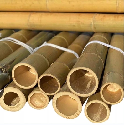 직선 Bambu Tree Stakes 대자연 원시 Bambu Pole For Decoration 길이 300cm