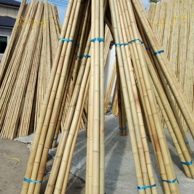 도매 자연 원시 톤킨 노란 Bambu Pole Cane Decorative Material 및 식물의 성장 지원