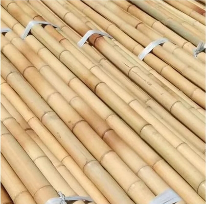 천연 모소 Bambu Pole 견고하고 친환경적인 정원용