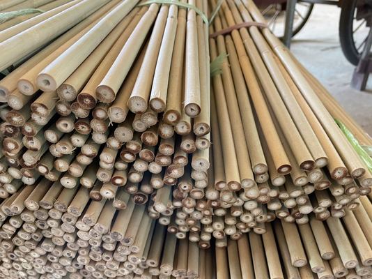 Tonkin Bamboo Cane 6mm-30mm Diameter for Plant Support