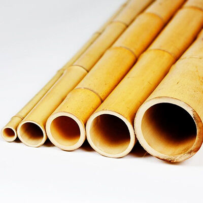 Natural Treated Moso Bamboo Pole - 3 Meters Long, 6-8cm Diameter, for DIY Construction, Fencing, Gardening and Decorative Projects