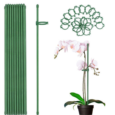Plastic Coated Metal Stakes, Green Garden Stakes for Plant Support, Plant Climbing, Landscape, Fencing