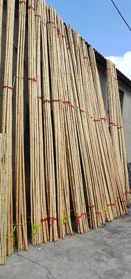 환경 친화적인 장식용 원시 Bambu Polish Dia.0.8cm x 100cm 길이